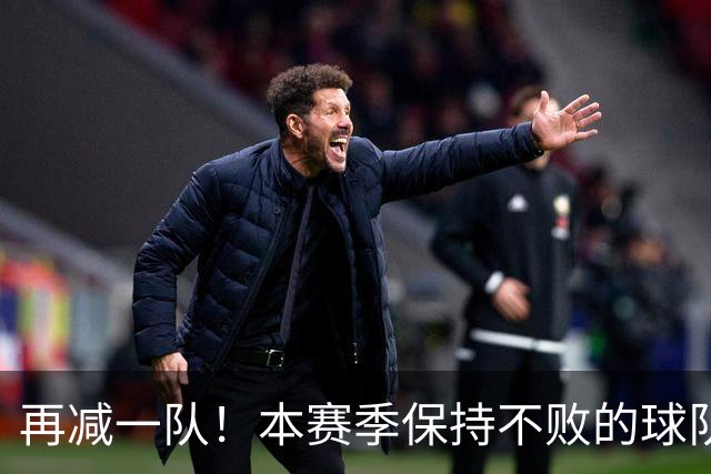 再减一队！本赛季保持不败的球队仅剩3支：火箭、灰熊、开拓者