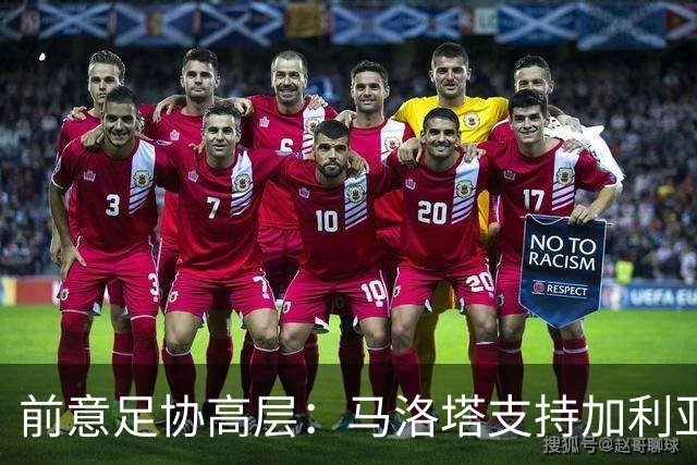 前意足协高层：马洛塔支持加利亚尼竞选足协主席，意甲已分裂
