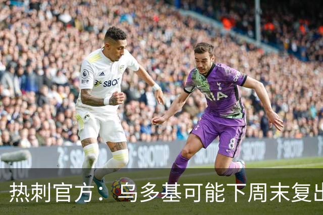 热刺官方：乌多基可能下周末复出，麦迪逊可战切尔西