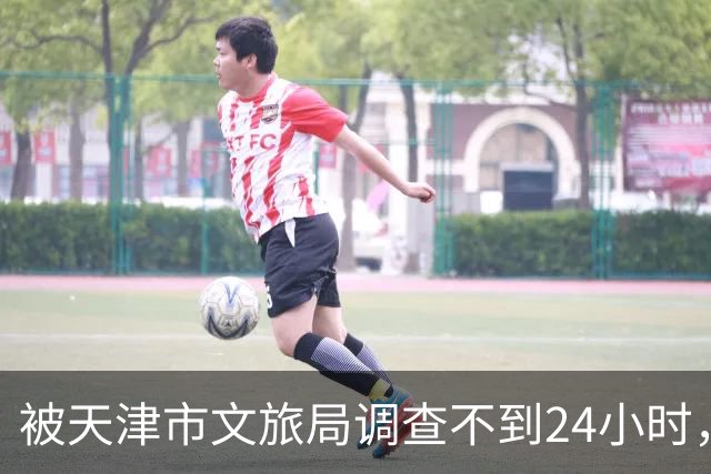 被天津市文旅局调查不到24小时，64岁杨议再迎噩耗！