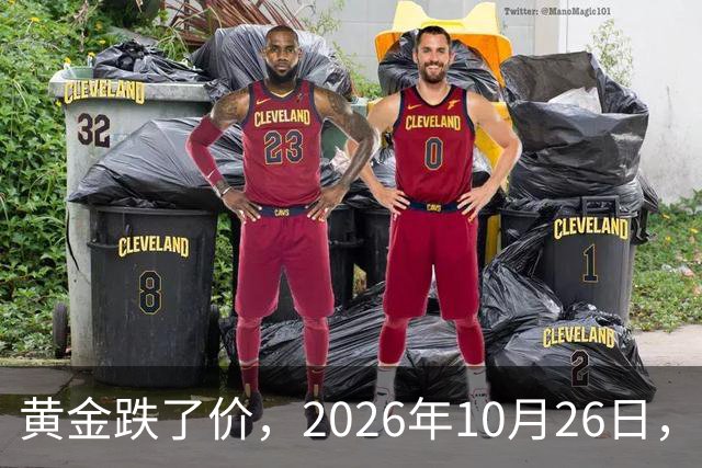 黄金跌了价，2026年10月26日，中国黄金最新价格，人民币黄金最新价格一览
